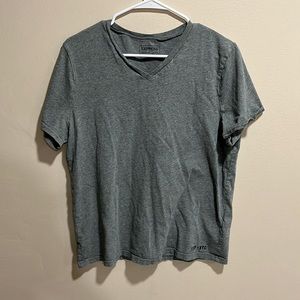 Express Gray V neck shirt